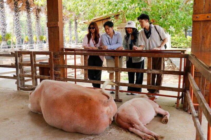 Bangkok: Damnoen Saduak and Train Market With Boat Ride - Itinerary Highlights