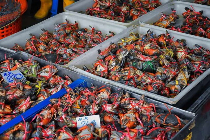 Bangkok: Damnoen Saduak Market and Maeklong Railway Market - Local Culinary Delights