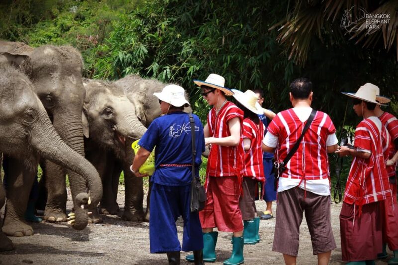 Bangkok Elephant Park: Half-Day Elephant Care - Exclusions