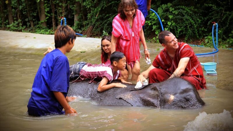 Bangkok Elephant Park: Half-Day Elephant Care - Attire and Items