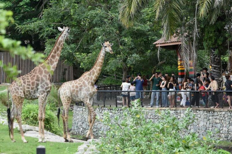 Bangkok: Elephant Sanctuary &Khao Kheow Open Zoo (Moodeng) - FAQ
