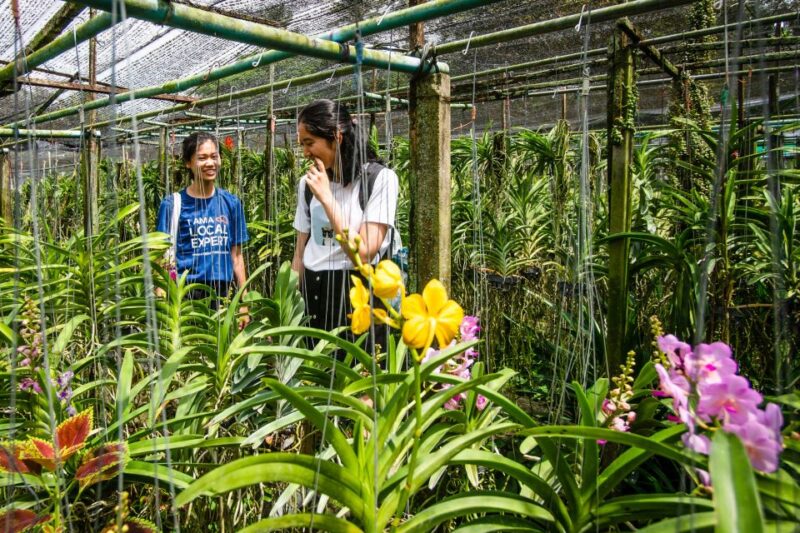 Bangkok Floating Market & Boat Ride to an Orchid Farm - Key Points