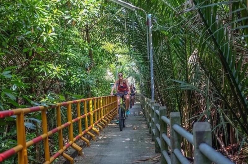 Bangkok Jungle Bike Tour: Pick up and Lunch Included - Highlights