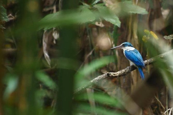 Bangkok Jungle Bike Tour: Pickup and Lunch Included - Inclusions