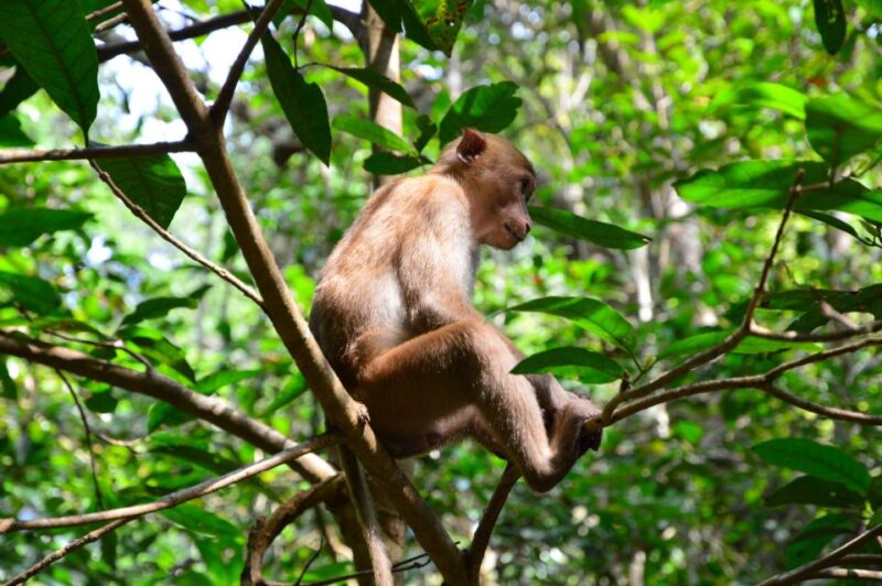 Bangkok: Kanchanaburi and Erawan Waterfall Private Tour - Included in the Tour