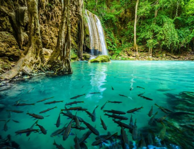 Bangkok: Kanchanaburi Lake, Erawan Waterfall and Kwai Bridge - Customer Reviews
