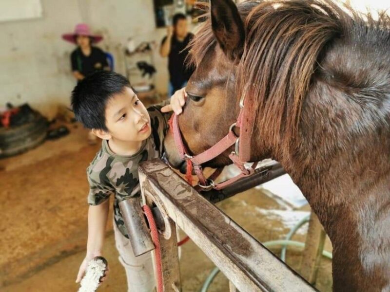 Bangkok: Khao Yai National Park With Horseback Ride Day Trip - Key Points