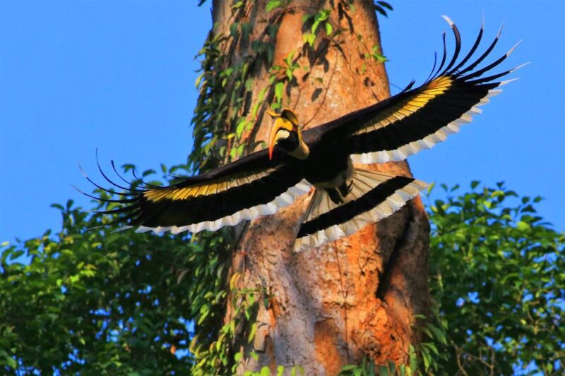 Bangkok: Khao Yai National Park With Horseback Ride Day Trip - Restrictions and Suitability