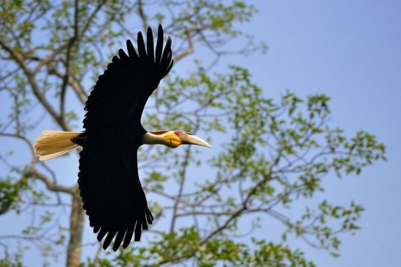 Bangkok: Khao Yai National Park With Horseback Ride Day Trip - What to Bring and Know