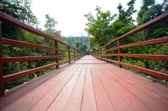 Bangkok: Khao Yai National Park With Horseback Ride Day Trip - Authentic Thai Lunch