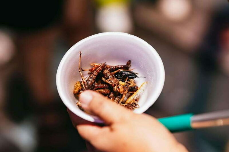 Bangkok: Michelin Guide Street Food Tour by Tuk Tuk - Who Will Enjoy This Tour?