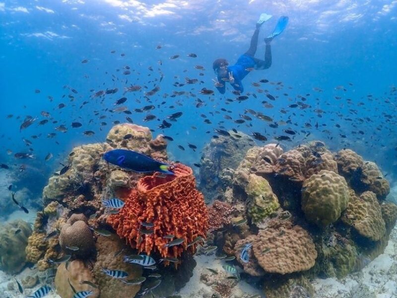 Bangkok: Nemo Island Day Trip With Drone Photos and Lunch - Key Points