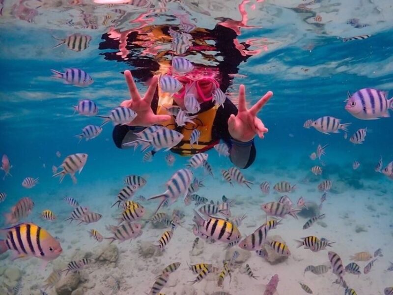 Bangkok: Nemo Island Day Trip With Drone Photos and Lunch - Itinerary Details