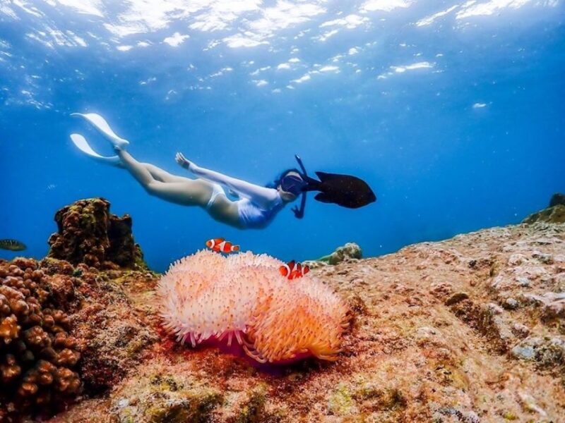 Bangkok: Nemo Island Day Trip With Drone Photos and Lunch - Suitability and Restrictions