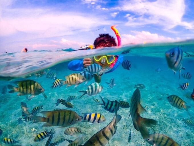Bangkok: Nemo Island Day Trip With Drone Photos and Lunch - Snorkeling Experiences