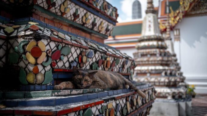 Bangkok: on Foot Grand Palace, Emerald Buddha and Wat Pho - Leaning Buddha Statue