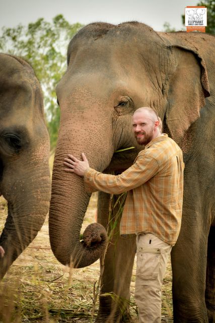 Bangkok: Pattaya Elephant Jungle Sanctuary Half-Day Tour - Key Points