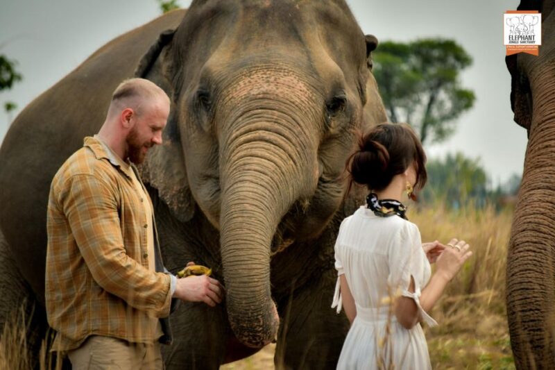 Bangkok: Pattaya Elephant Jungle Sanctuary Half-Day Tour - Experience Highlights