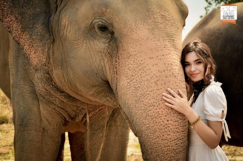 Bangkok: Pattaya Elephant Jungle Sanctuary Half-Day Tour - Tour Inclusions