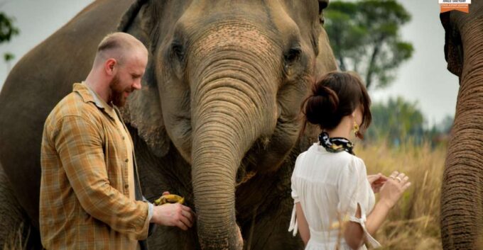 Bangkok: Pattaya Elephant Jungle Sanctuary Half-Day Tour - Frequently Asked Questions