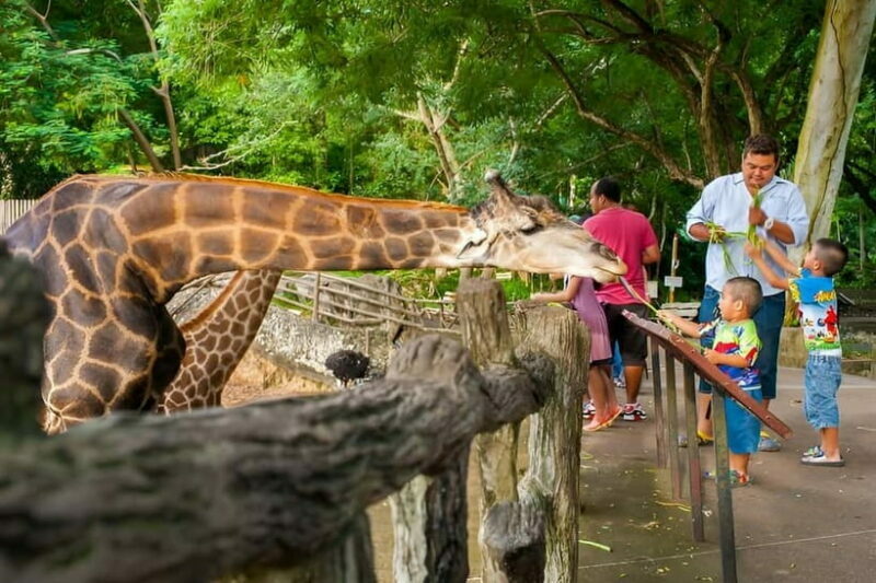 Bangkok/Pattaya: Khao Kheow Zoo Private Tour with Pickup - Setting the Scene: What Makes This Tour Special
