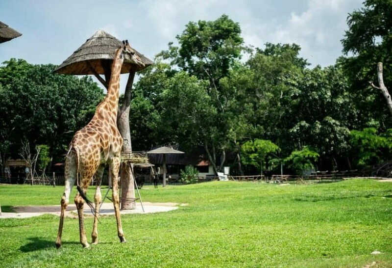 Bangkok/Pattaya: Khao Kheow Zoo Private Tour with Pickup - The Flexible Itinerary: How It Works