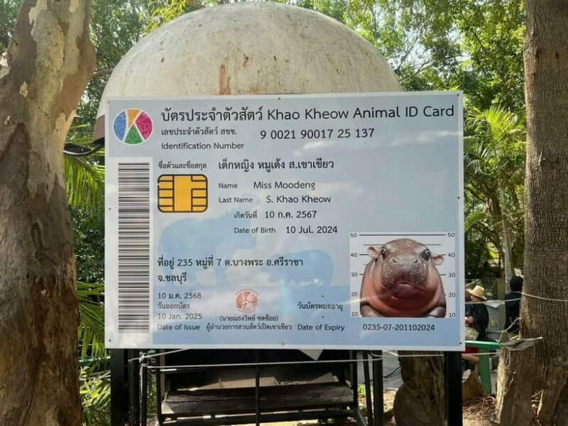 Bangkok/Pattaya: Khao Kheow Zoo Private Tour with Pickup - Inside the Zoo: What to Expect