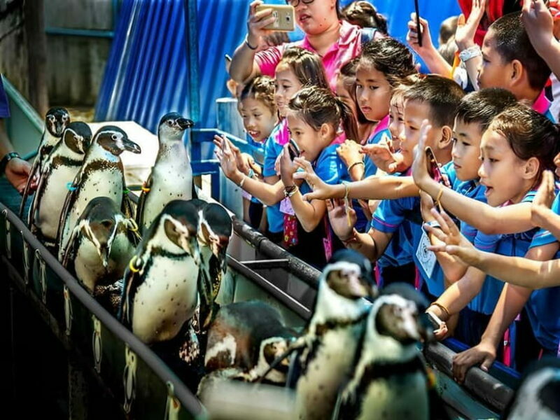 Bangkok/Pattaya: Khao Kheow Zoo Private Tour with Pickup - Authenticity and Comfort