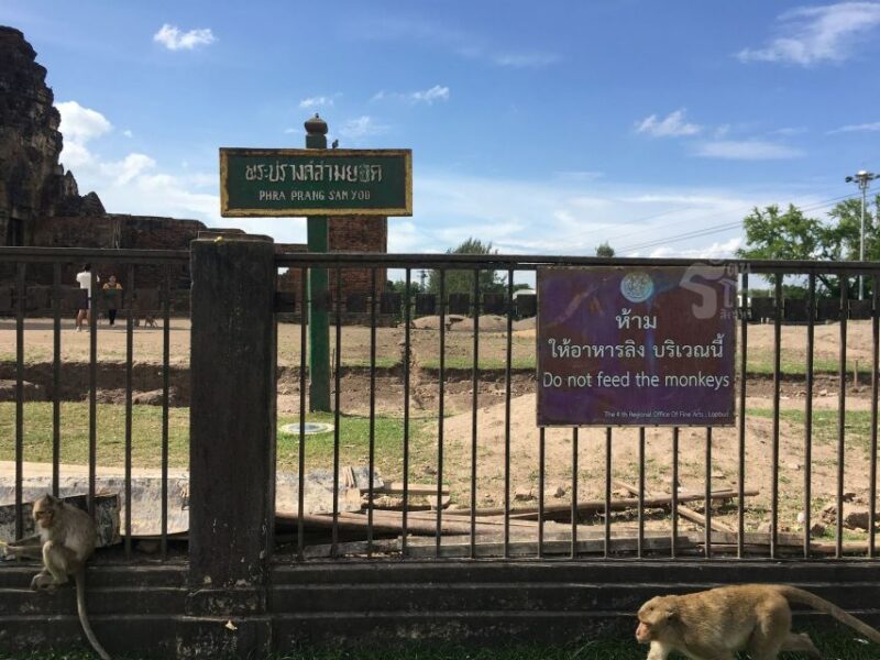 Bangkok: Private Car Hire to Lopburi the Monkey City - Transportation and Inclusions
