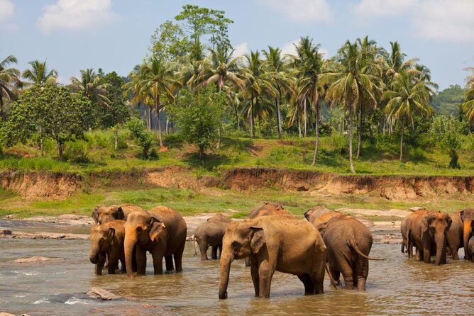 Bangkok: Safari World & Marine Park - Key Points