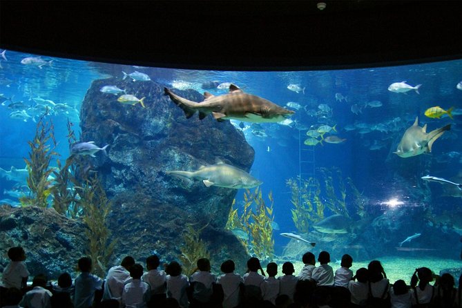 Bangkok Sea Life Aquarium and Madame Tussauds - Ticketing and Access