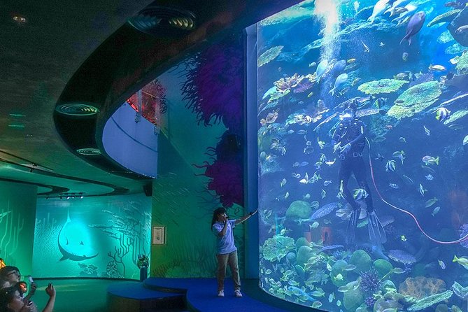 Bangkok Sea Life Aquarium and Madame Tussauds - Transportation and Convenience