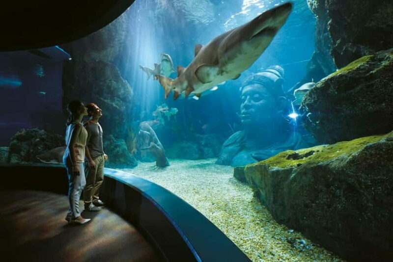 Bangkok: SEA LIFE Bangkok Ocean World Entry Ticket - Key Points