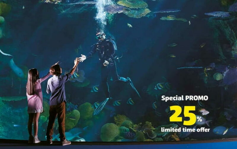 Bangkok: SEA LIFE Bangkok Ocean World Entry Ticket - The Sum Up