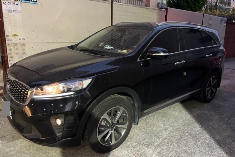 Bangkok Suvarnabhumi Airport (BKK): Transfer to Pattaya - Vehicle and Driver Specifications