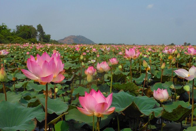 Bangkok to Angkor Wat 2 Days 1 Night Tour Go by Flight and Take Car Back - Transportation and Logistics