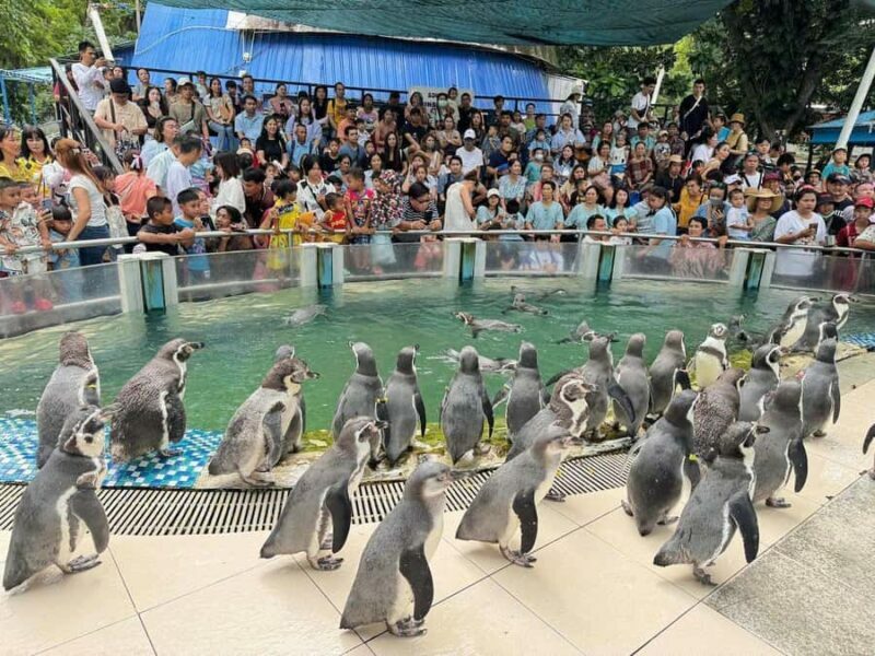 Bangkok to Moo Deng: Private Transfer To Khao Kheow Zoo - The Journey from Bangkok to Khao Kheow Zoo