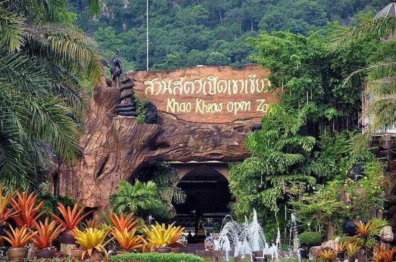 Bangkok to Moo Deng: Private Transfer To Khao Kheow Zoo - Is This Tour Good Value?