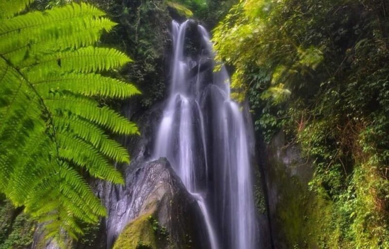 Bangli Hidden Gems: Waterfall Tour - Tour Pricing