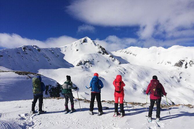 Bansko Snowshoe Private Trip—Mt. Bezbog in Pirin National Park - Key Points
