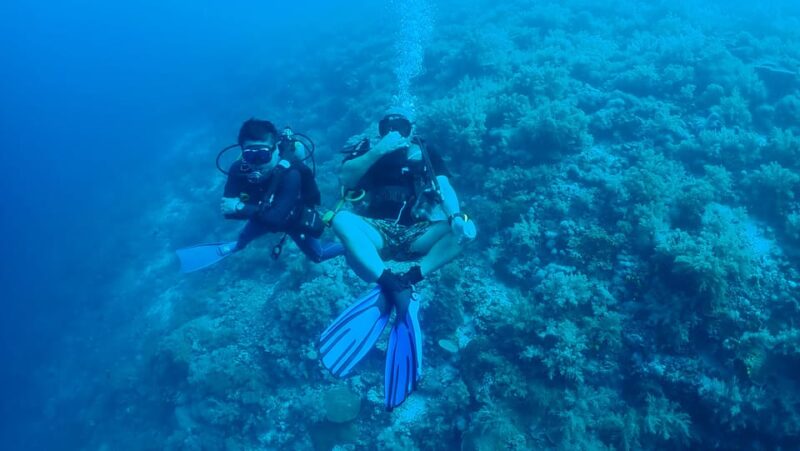 Bantayan Island: Discover Scuba Diving - Key Points