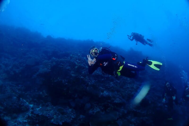 Bantayan Island: Fun Dive Scuba Adventure - Dive Experience