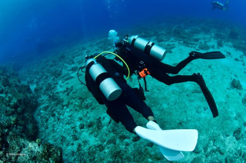 Bantayan Island: Fun Dive Scuba Adventure - Highlights