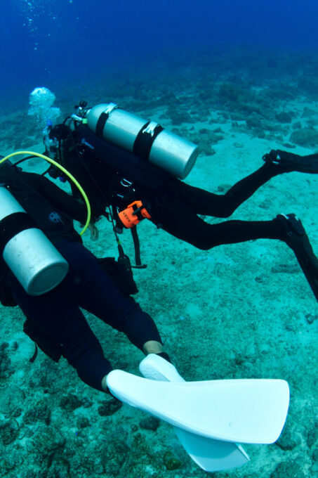 Bantayan Island: Fun Dive Scuba Adventure - Pricing and Flexibility