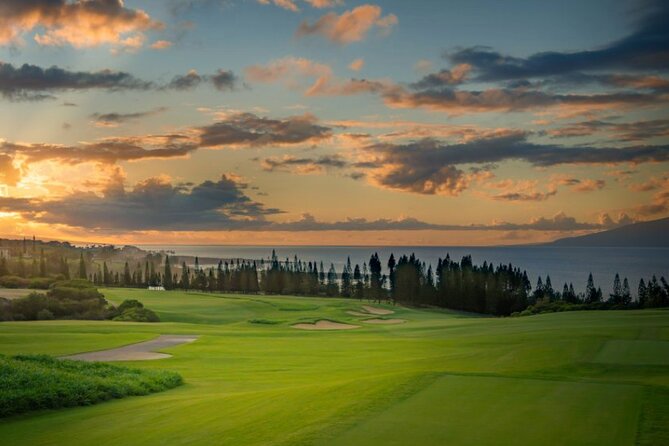 Banyan Tree & Blowhole Private Jeep Sunset Tour - Inclusions