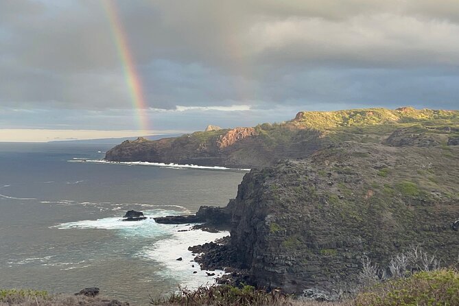 Banyan Tree & Blowhole Private Jeep Sunset Tour - Witnessing the Blowhole