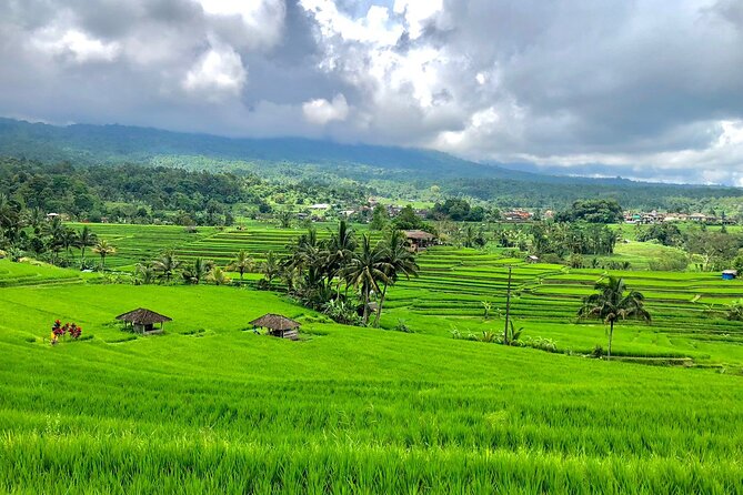 Banyumala Waterfall And Best Of North Bali Private Guided Tour - Tour Accessibility