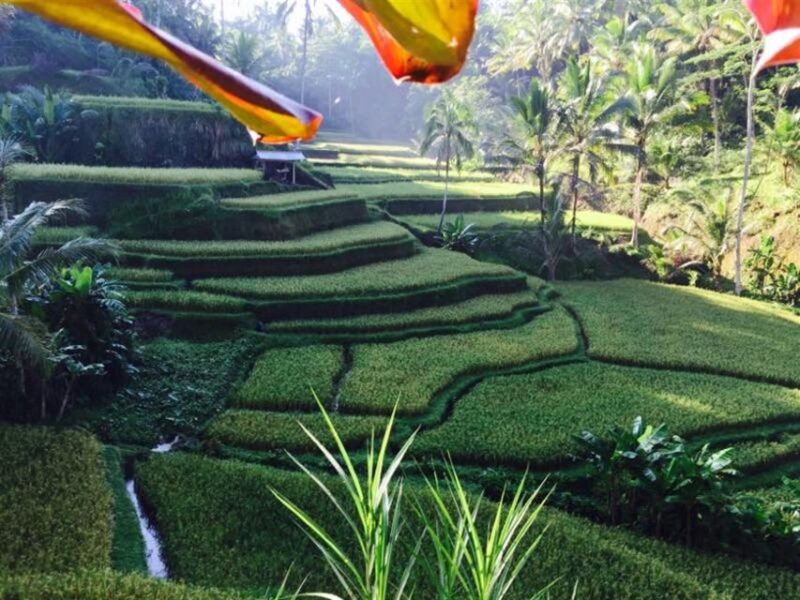 Banyumala Waterfall Trek, Bedugul and Lake Beratan Tour - Frequently Asked Questions
