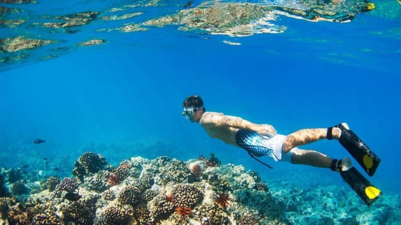 Banyuwangi: 1 Day Tour Snorkeling & Explore Menjangan Island - Included and Excluded Services