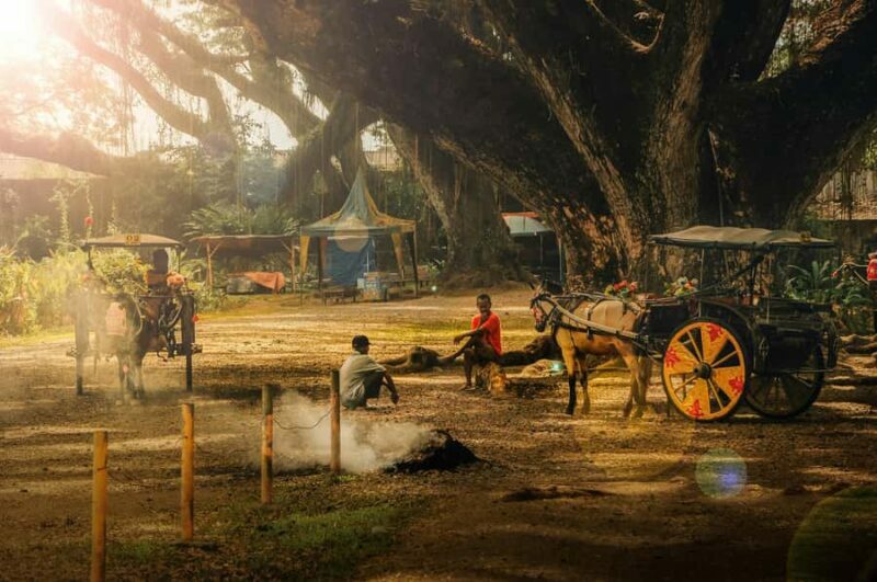Banyuwangi: De Djawatan, Green, and Red Island Day Trip - The Sum Up: Who Should Book This Tour?